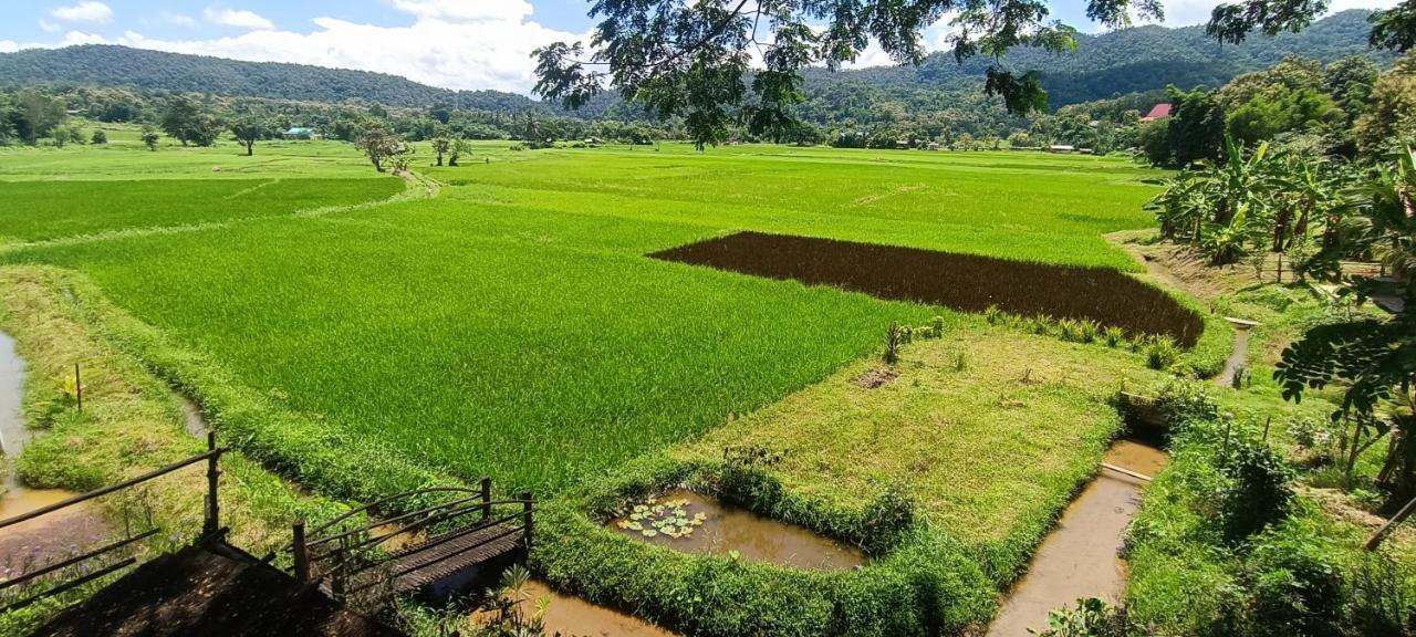Khuang Kom Kaewma Farmstay מראה חיצוני תמונה