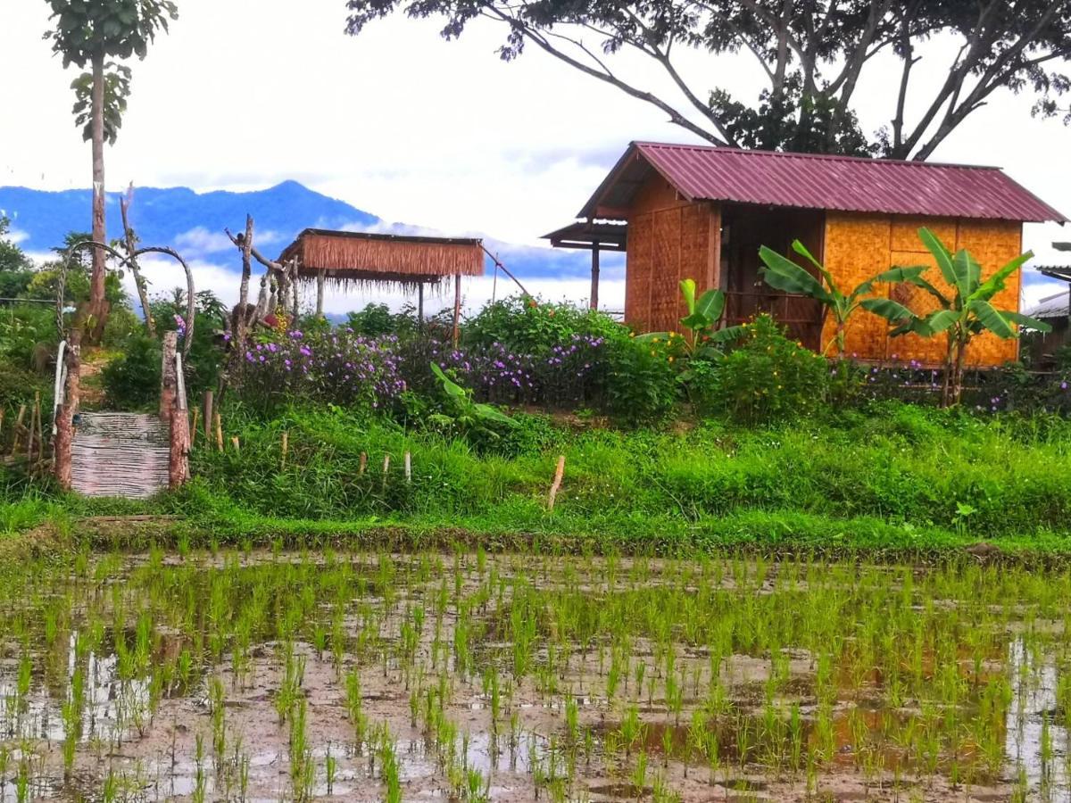 Khuang Kom Kaewma Farmstay מראה חיצוני תמונה