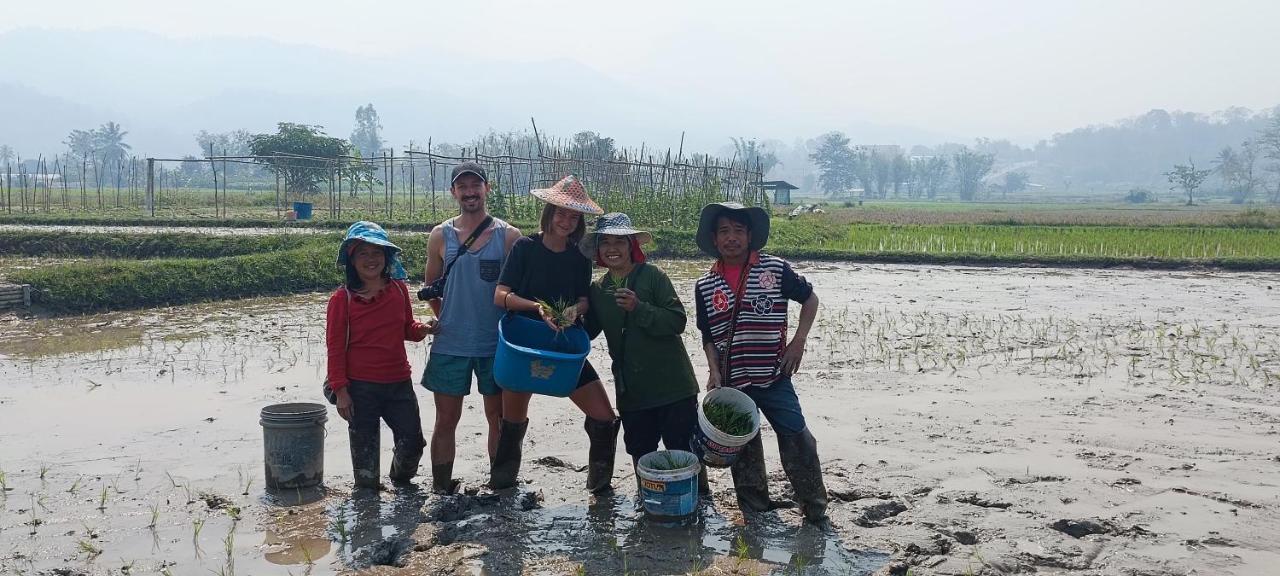 Khuang Kom Kaewma Farmstay מראה חיצוני תמונה