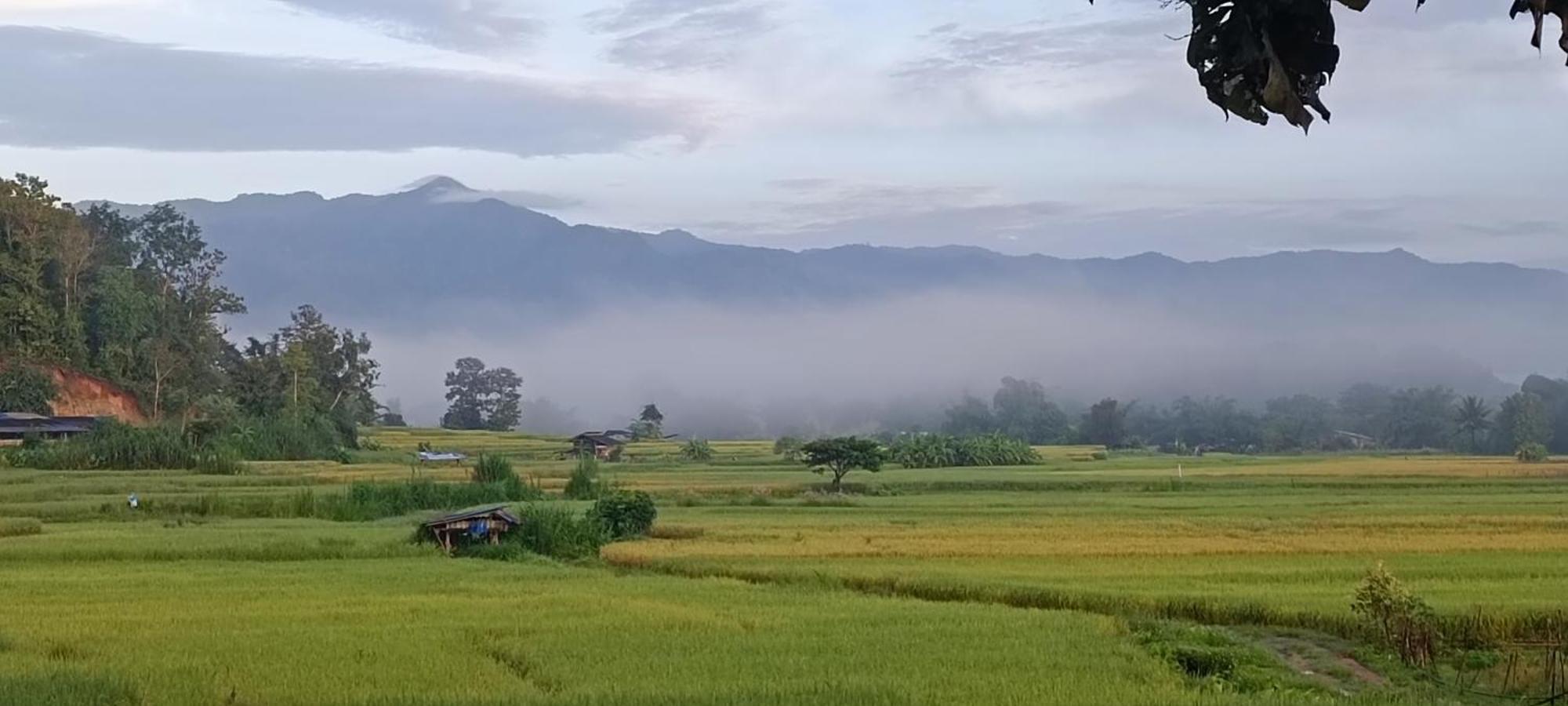 Khuang Kom Kaewma Farmstay מראה חיצוני תמונה